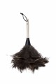 Feather Duster
