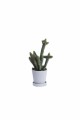 Flowerpot with saucer