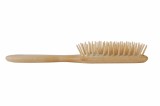 Hair Brush