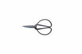Kitchen Scissor