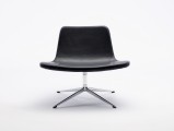 Ray Swivel Base