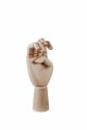 Wooden Hand